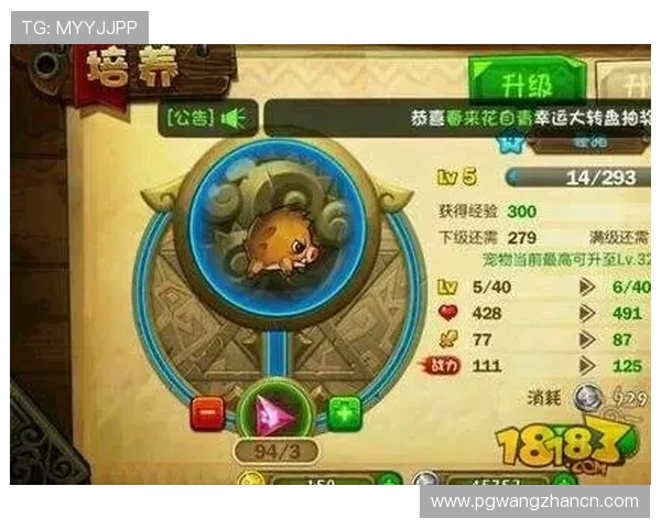PG爱尔兰精灵游戏免费版攻略，掌握游戏技巧快速提升战斗实力